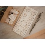 Qtoys C-V-C Word kit